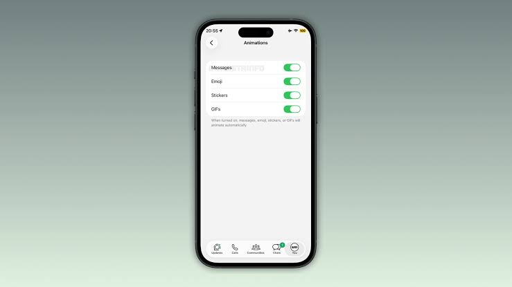 WhatsApp 內部全新 Animations(動畫)獨立設定選單